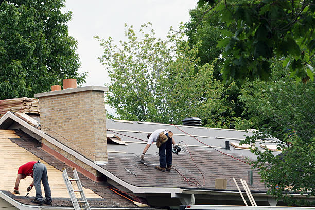 Best Roof Insulation Installation  in Thomson, GA
